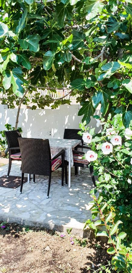 באסקה Apartments Benkovic מראה חיצוני תמונה