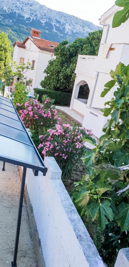 באסקה Apartments Benkovic מראה חיצוני תמונה