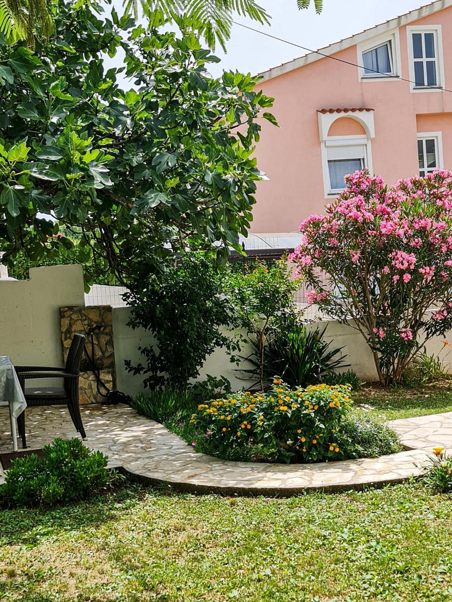 באסקה Apartments Benkovic מראה חיצוני תמונה