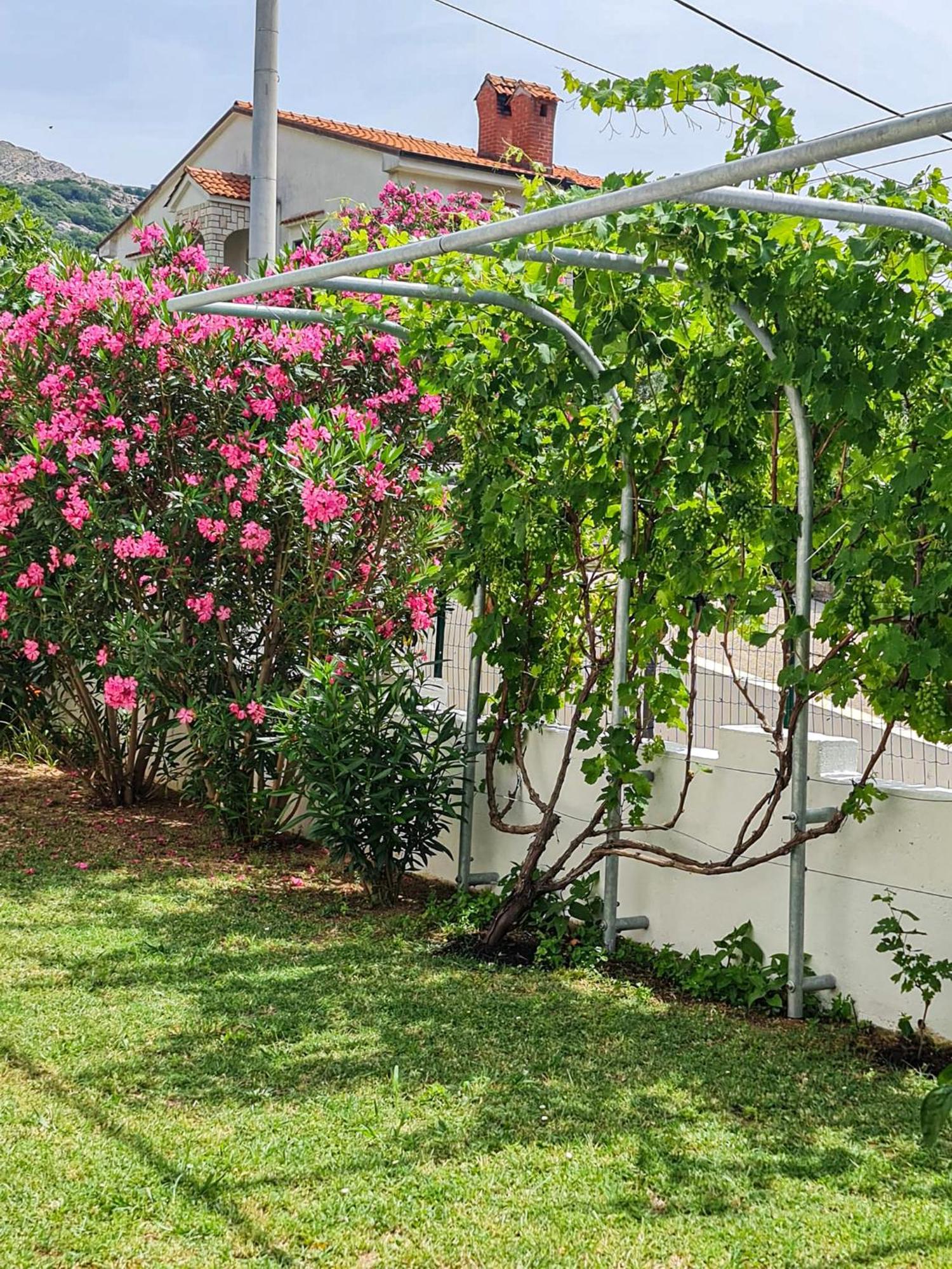 באסקה Apartments Benkovic מראה חיצוני תמונה